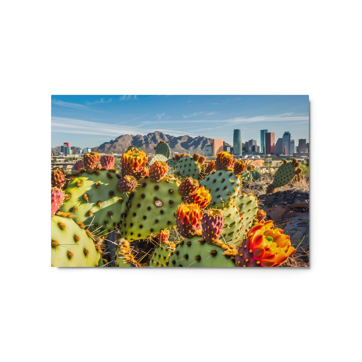 Prickly Pear Cactus with Phoenix Cityscape Wall Art on Aluminum Frame - HighAZCreations