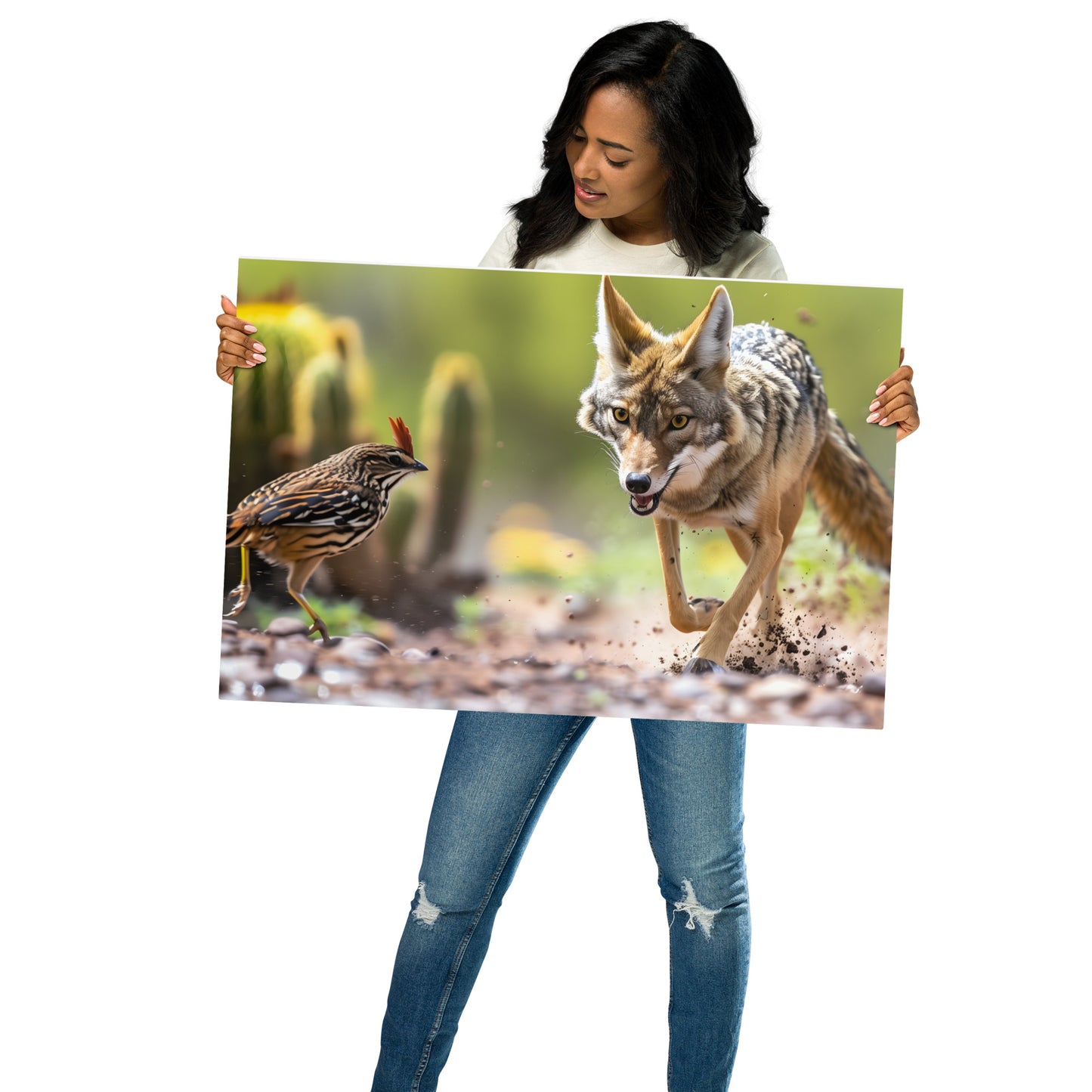 Coyote Pursuit - Energetic Wildlife Scene on Aluminum Metal Frame - HighAZCreations