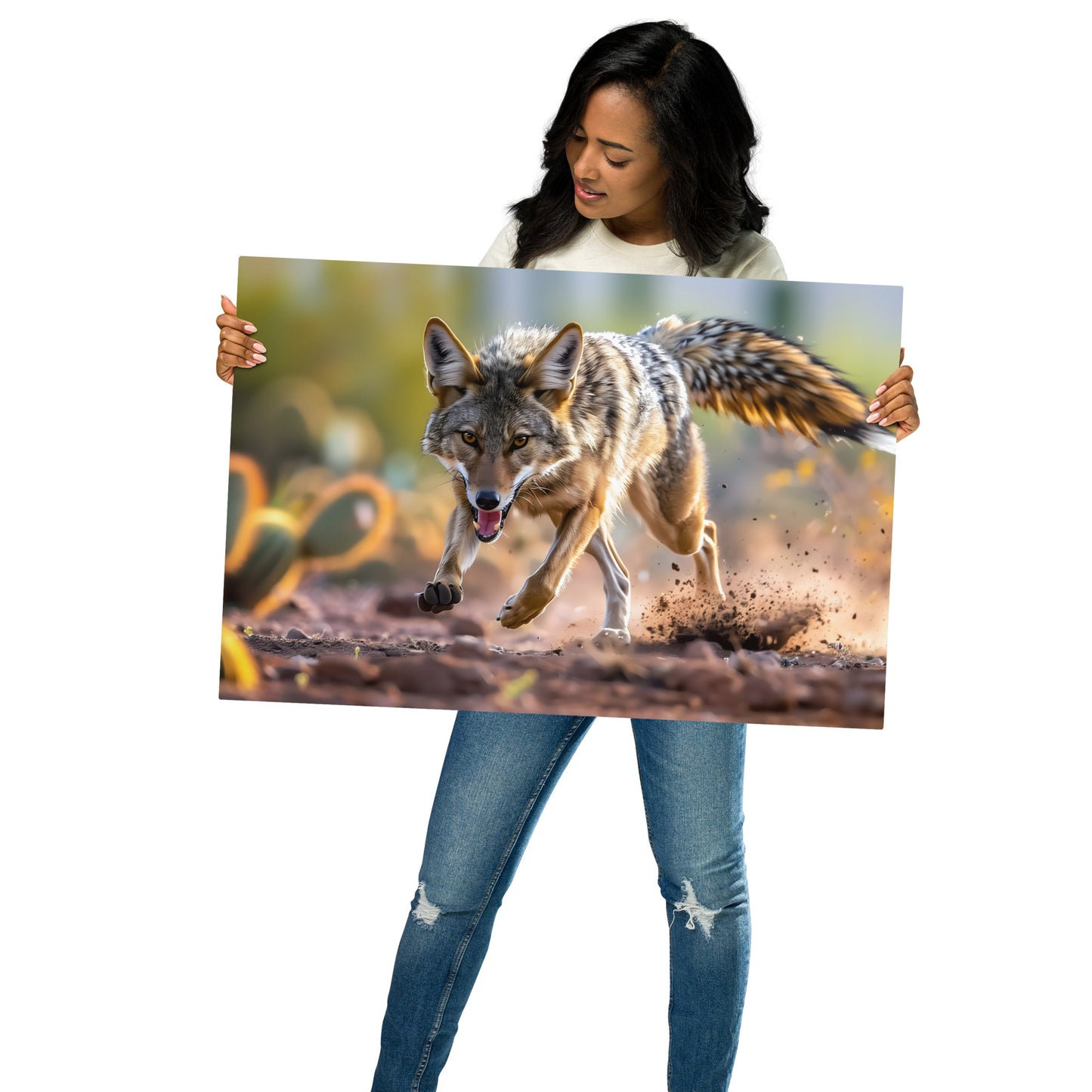 Desert Chase - Coyote in Pursuit on Aluminum Metal Frame - HighAZCreations
