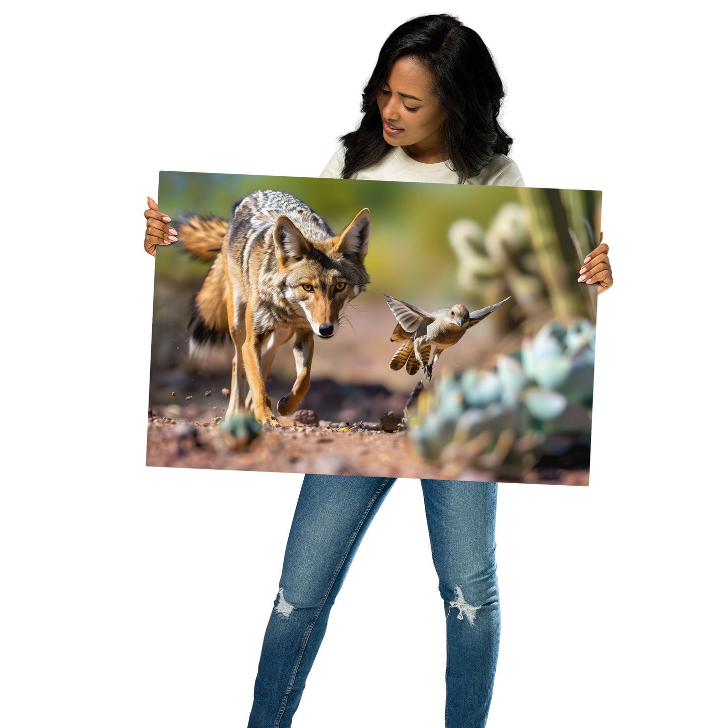 Desert Chase - Coyote and Bird Encounter on Aluminum Metal Frame - HighAZCreations