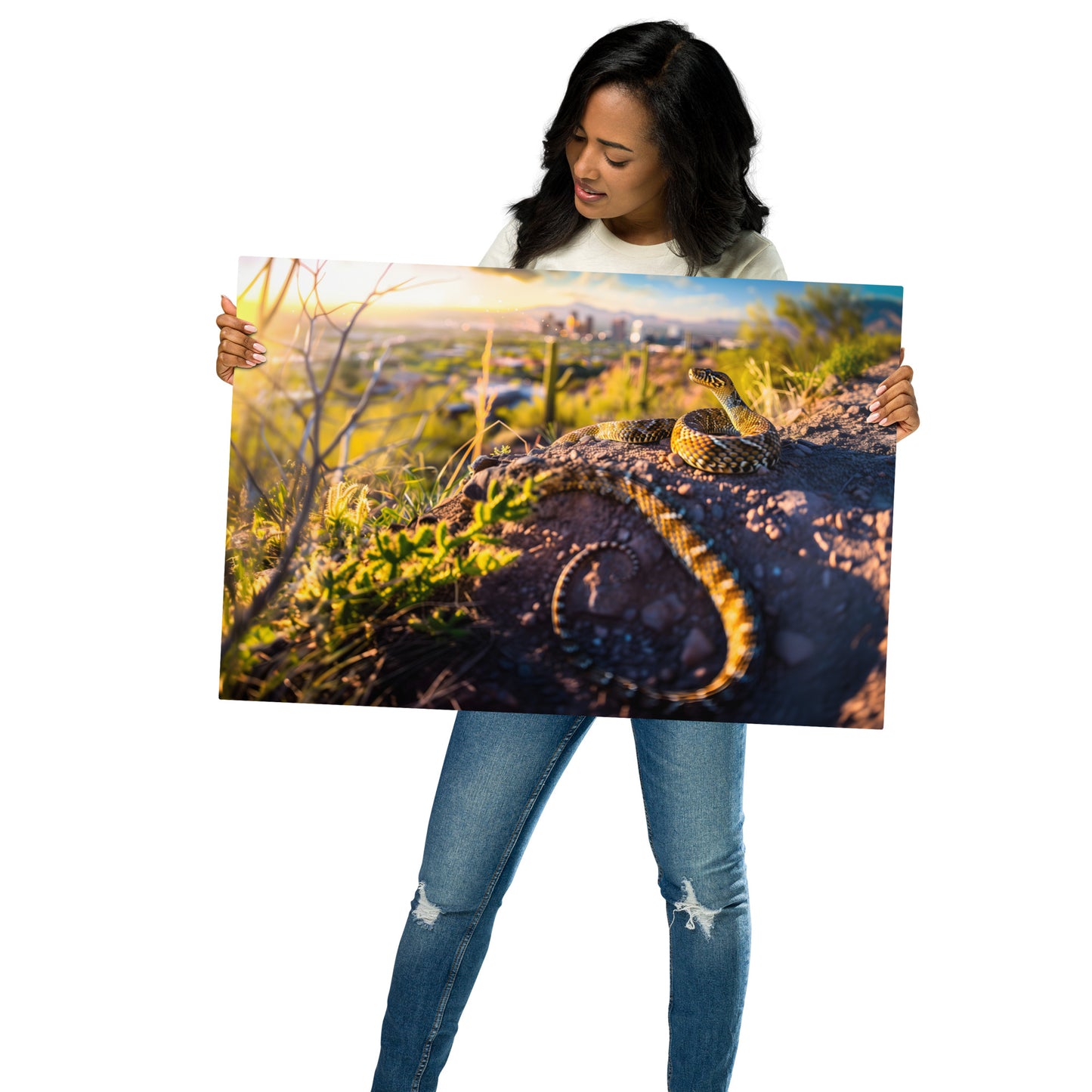 Sunset Vigil - Diamondback Rattlesnake and Cityscape on Aluminum Metal Frame - HighAZCreations