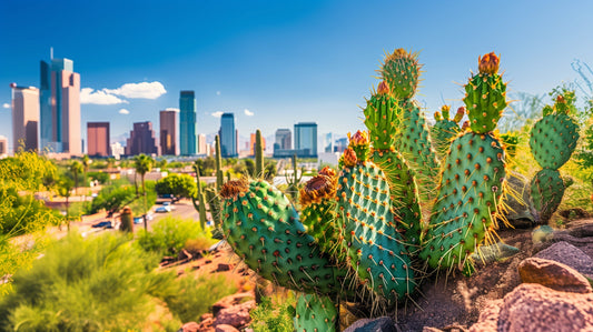 Urban Desert Oasis | High-Resolution Cactus Cityscape Wall Art