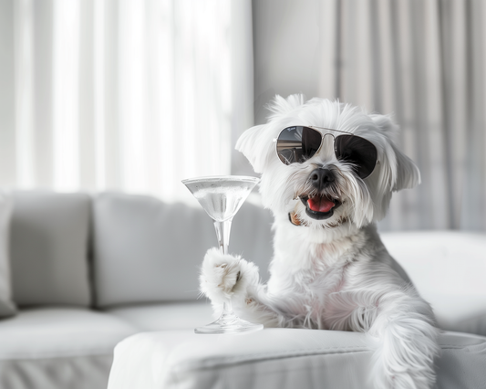 Sophisticated Paws - Maltese Dog with Martini Glass on Aluminum Metal Frame