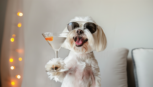 Cheers to Canine Joy - Maltese Dog with Cocktail on Aluminum Metal Frame