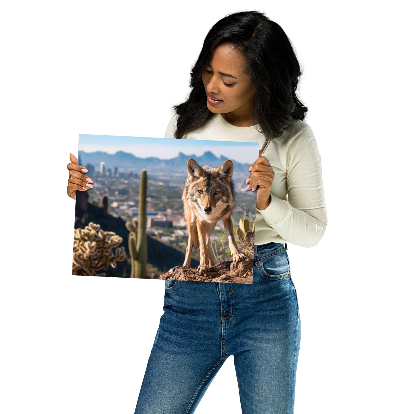 Coyote in the Desert - Phoenix Skyline Wall Art on Aluminum Frame