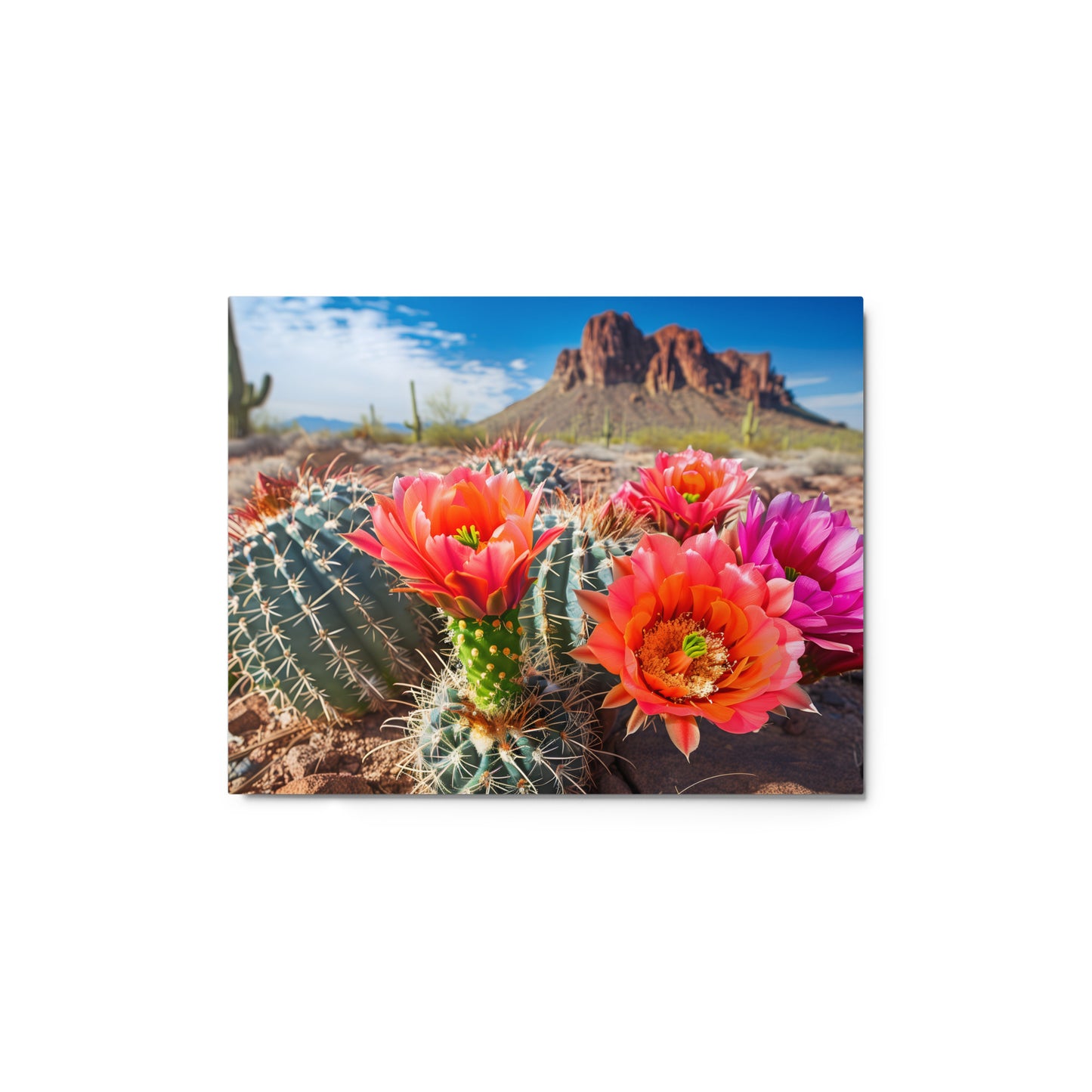 Prickly Pear Cactus with Arizona Skyline Wall Art on Aluminum Frame