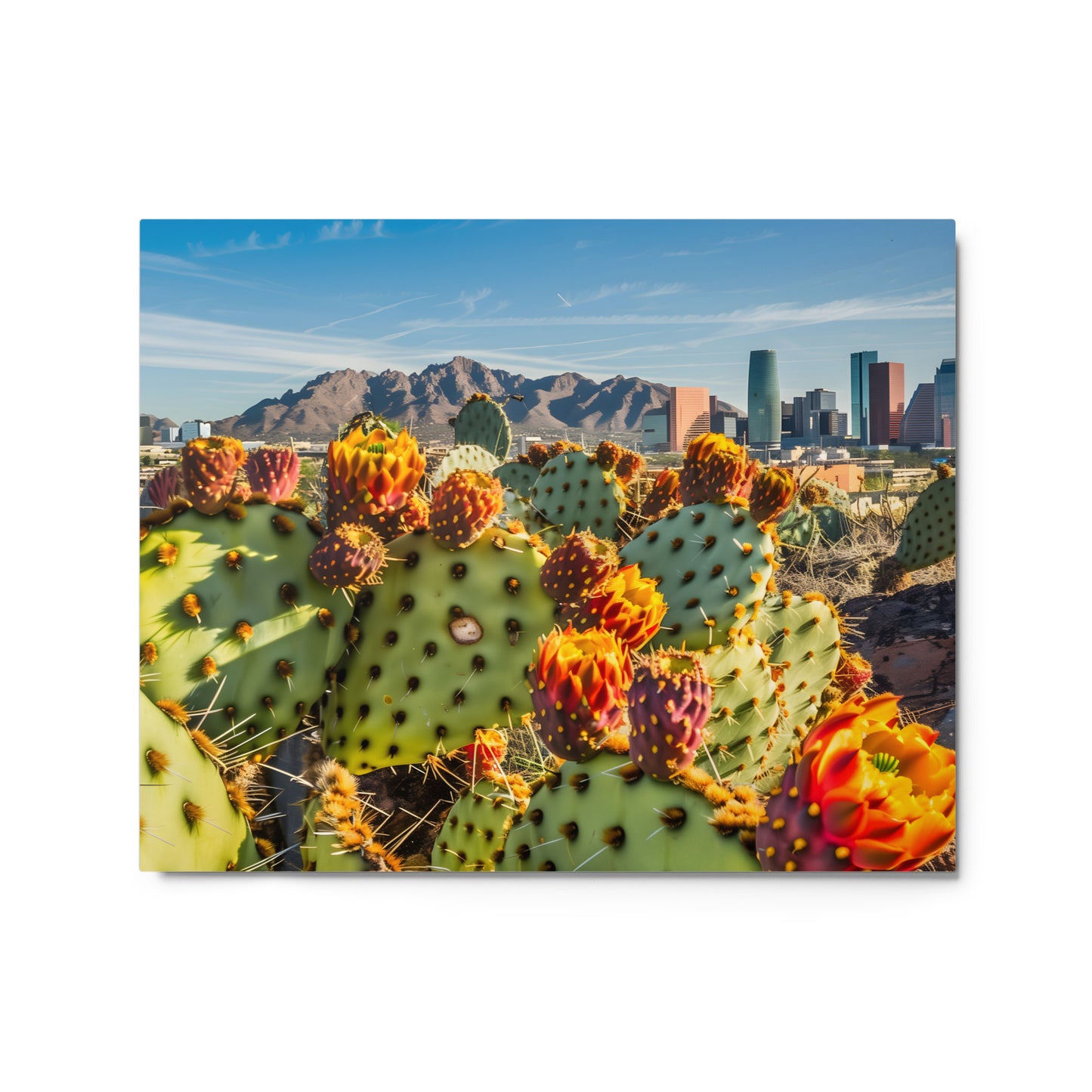 Prickly Pear Cactus with Phoenix Cityscape Wall Art on Aluminum Frame