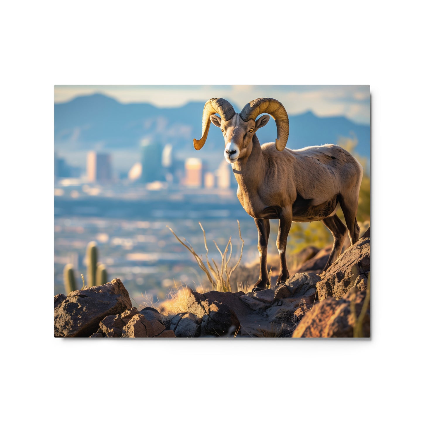 Desert King - Bighorn Sheep with City Skyline Wall Art on Aluminum Frame