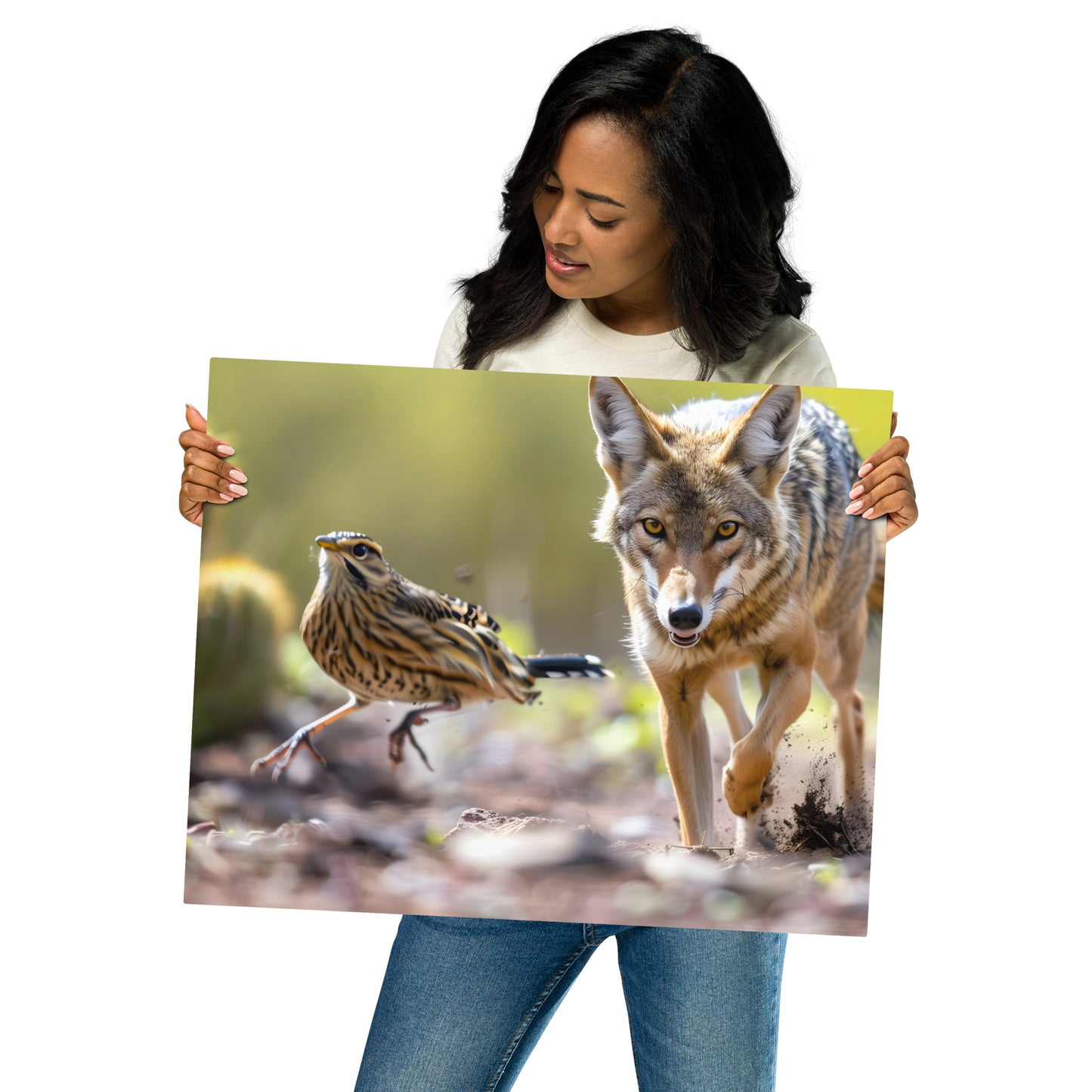 Coyote and Road Runner Chase - Dynamic Wildlife Art on Aluminum Metal Frame