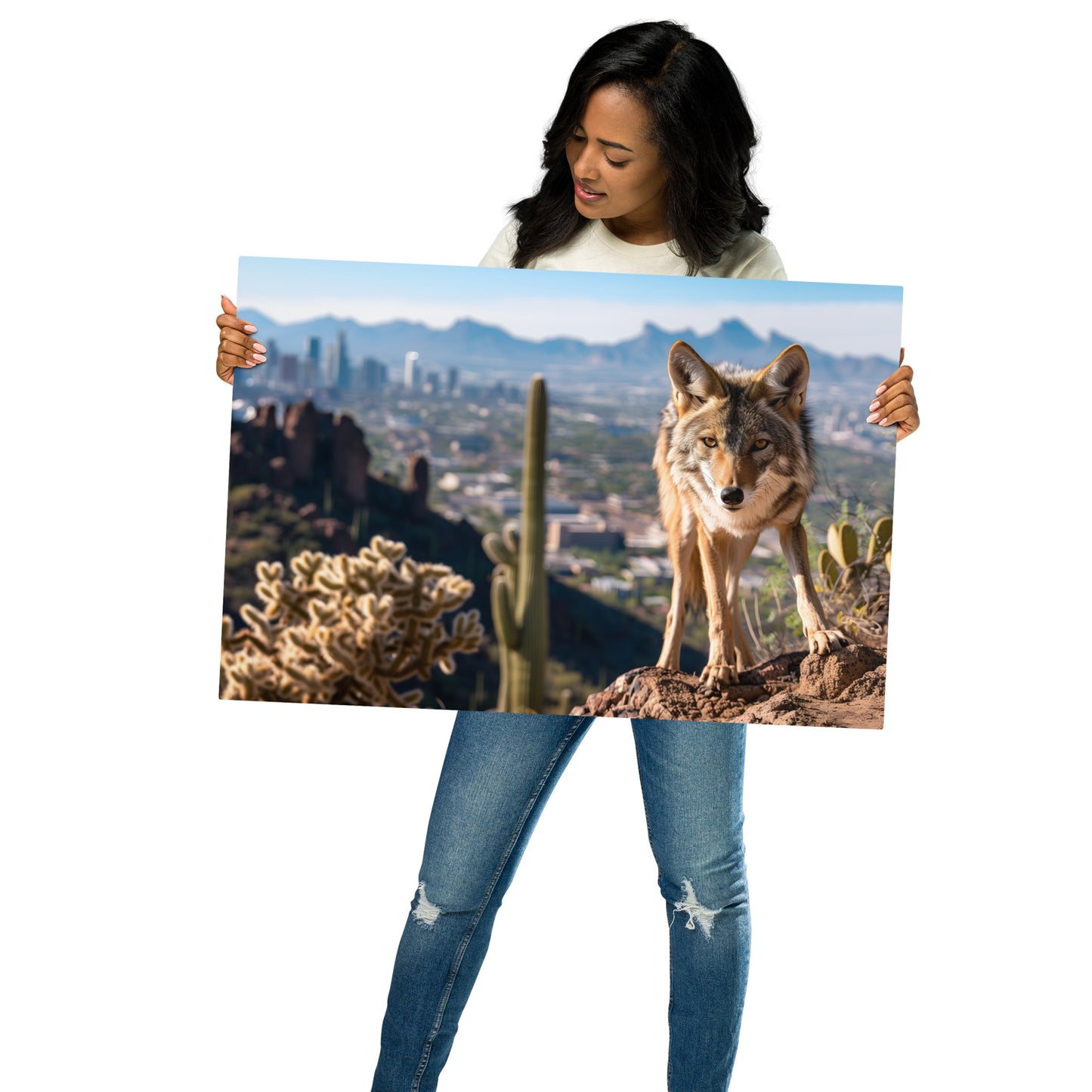 Coyote in the Desert - Phoenix Skyline Wall Art on Aluminum Frame