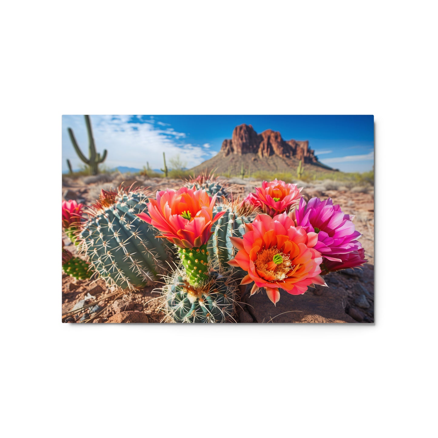 Prickly Pear Cactus with Arizona Skyline Wall Art on Aluminum Frame