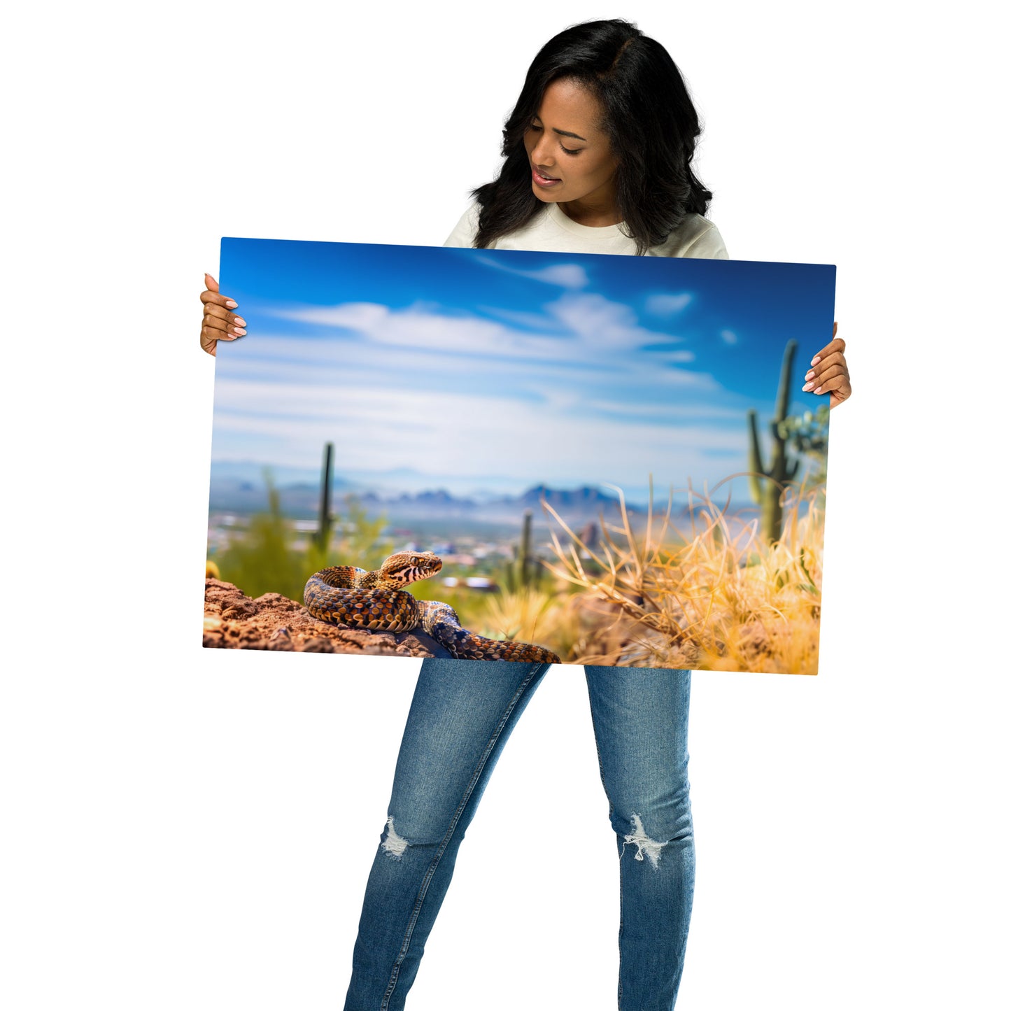 Desert Majesty - Diamondback Rattlesnake and Urban Backdrop on Aluminum Metal Frame