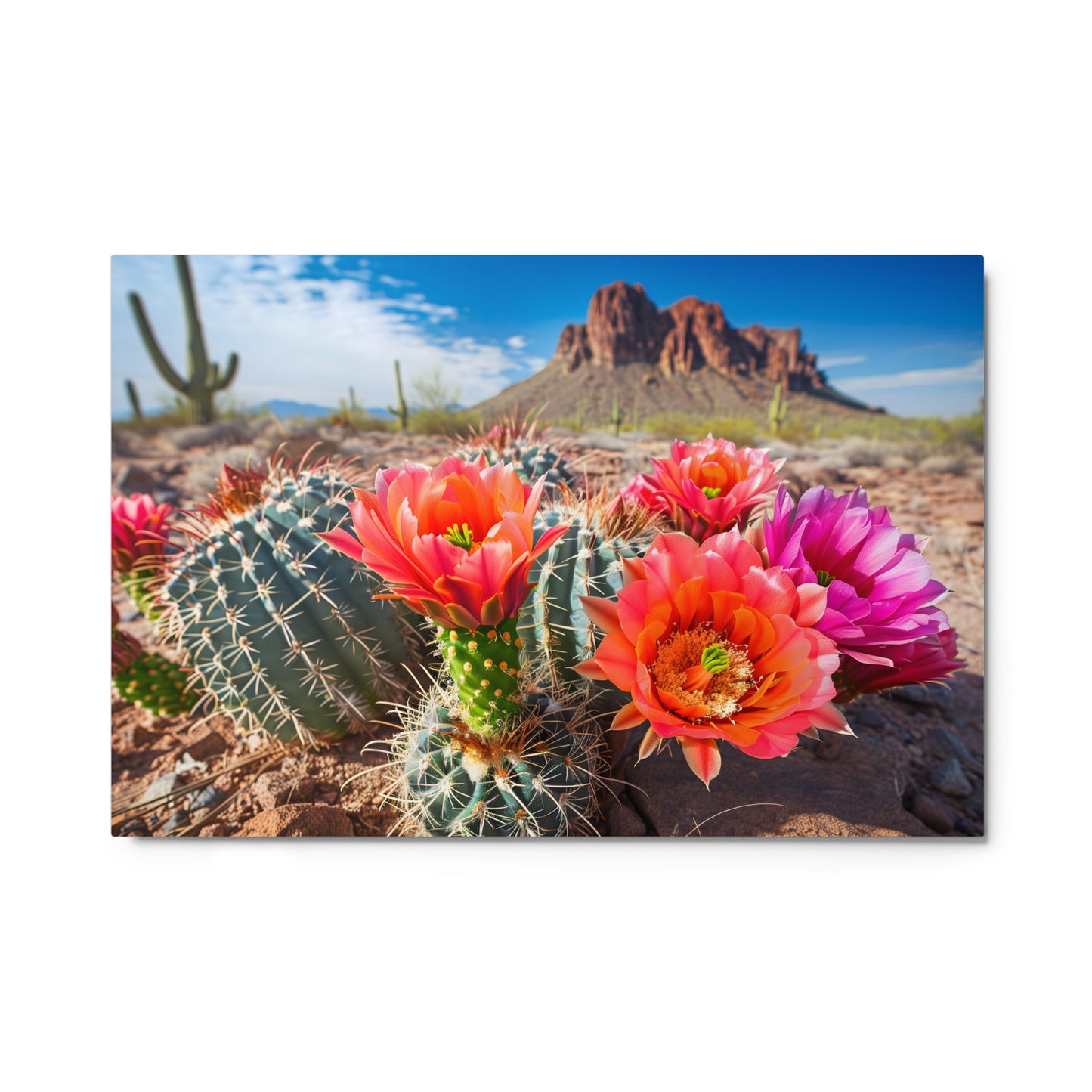 Prickly Pear Cactus with Arizona Skyline Wall Art on Aluminum Frame