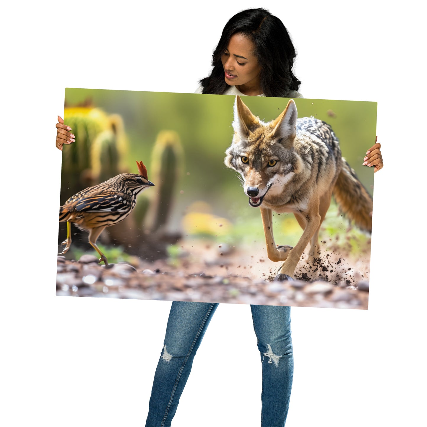 Coyote Pursuit - Energetic Wildlife Scene on Aluminum Metal Frame