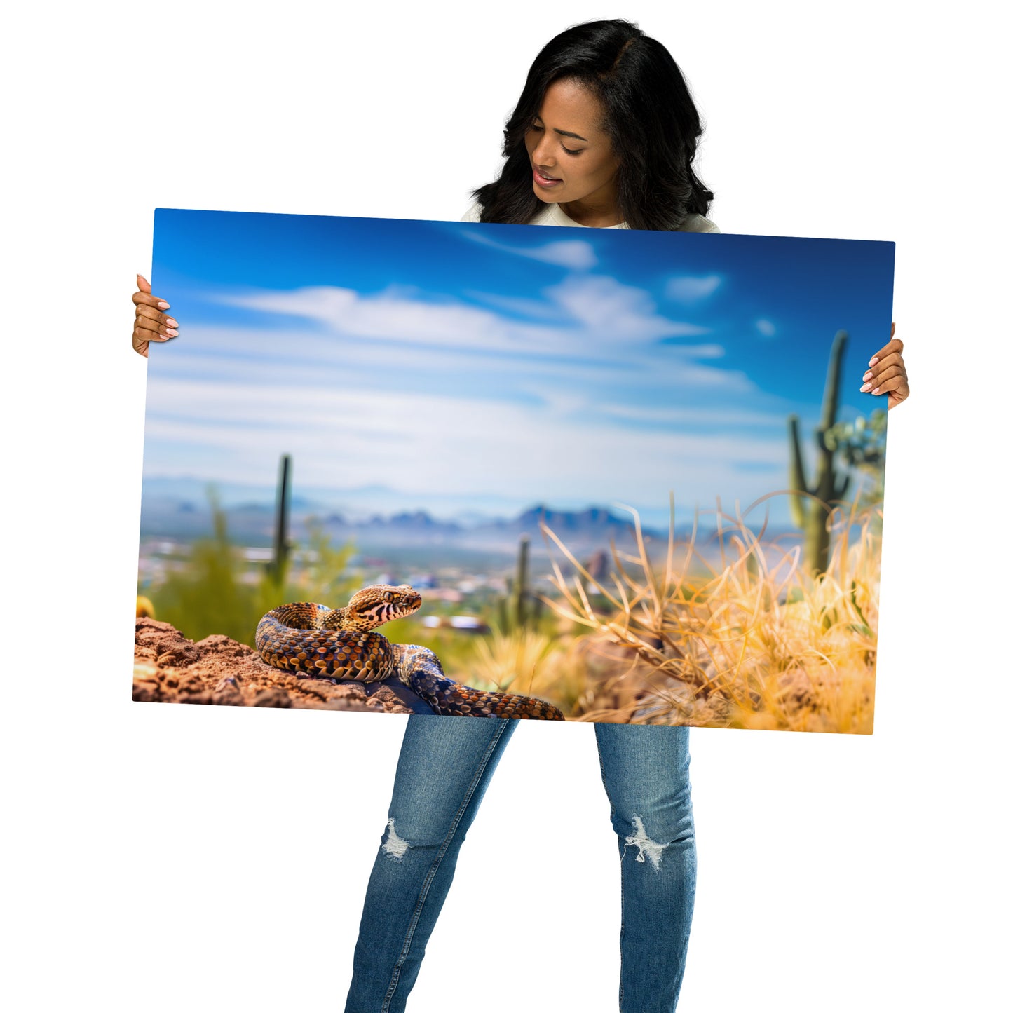 Desert Majesty - Diamondback Rattlesnake and Urban Backdrop on Aluminum Metal Frame