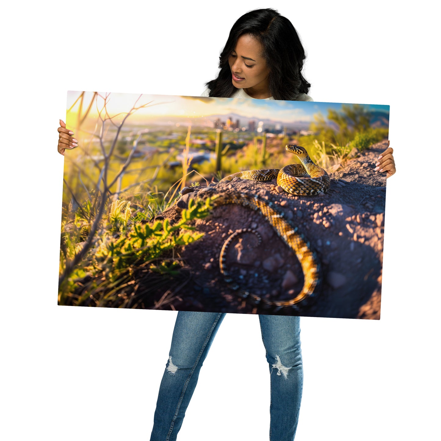 Sunset Vigil - Diamondback Rattlesnake and Cityscape on Aluminum Metal Frame