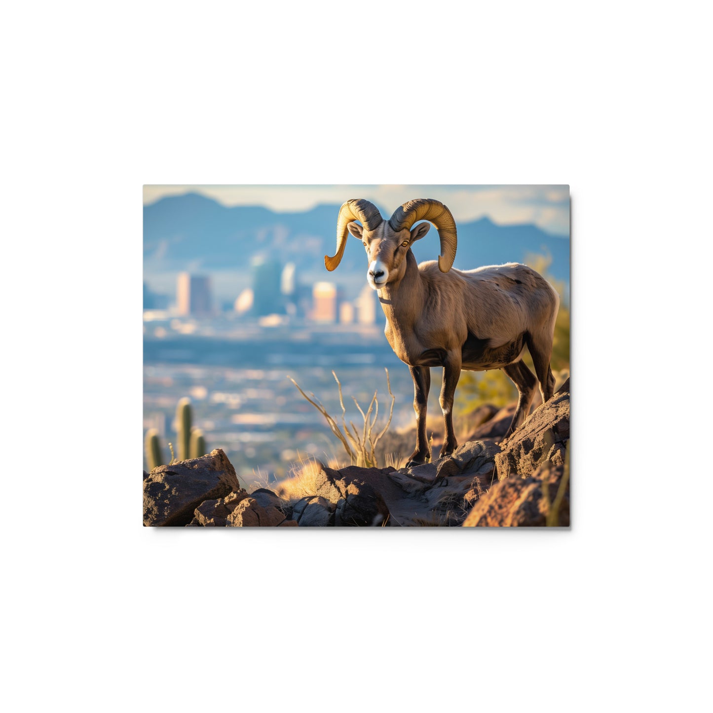 Desert King - Bighorn Sheep with City Skyline Wall Art on Aluminum Frame